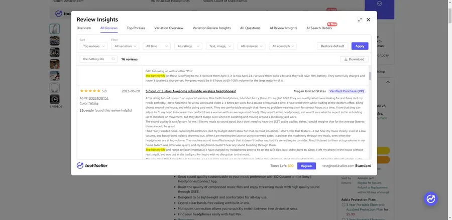 Visual example for Utilizing Review Insights on Tool4seller